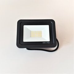 Tänavavalgusti LED Slim 30 W 4000K IP66 цена и информация | Уличное освещение | kaup24.ee
