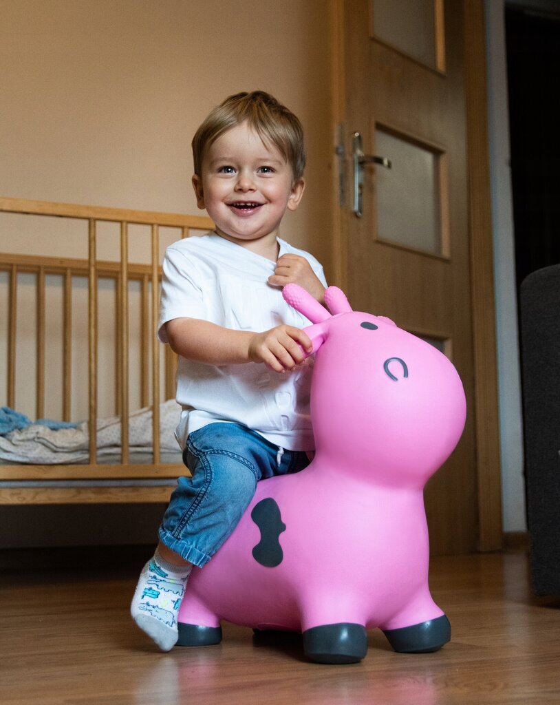 Roosa hüppav kummist hüppaja täispuhutav hind ja info | Imikute mänguasjad | kaup24.ee