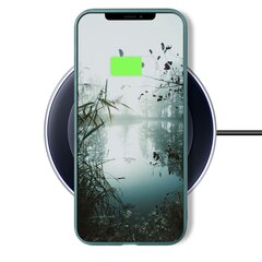 Силиконовый чехол Moozy Minimalist для iPhone 11, тонкий и матовый чехол из силикона TPU, серо-голубой цена и информация | Чехлы для телефонов | kaup24.ee
