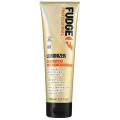 FUDGE Luminizer Moisture Boost šampoon 250ml цена и информация | Шампуни | kaup24.ee