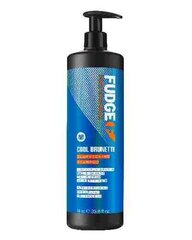 FUDGE Cool Brunette Blue šampoon 1000ml цена и информация | Шампуни | kaup24.ee