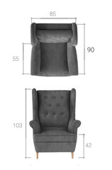 Tugitool Aros-Monolith 37 цена и информация | Кресла в гостиную | kaup24.ee