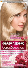 Kauapüsiv juuksevärv Garnier Color Sensation 110 ml, 9.13 Very Cristal Blond hind ja info | Juuksevärvid | kaup24.ee