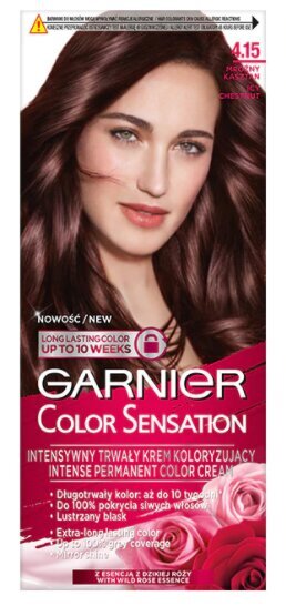 Kauapüsiv juuksevärv Garnier Color Sensation 110 ml, 4.15 Icy Chestnut hind ja info | Juuksevärvid | kaup24.ee