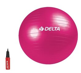 Võimlemispall Delta DS9871 pumbaga, 75 cm, roosa hind ja info | Võimlemispallid | kaup24.ee
