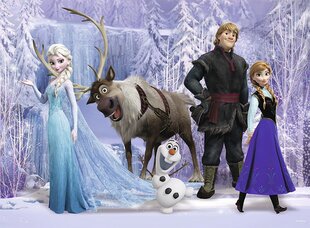 Pusle Ravensburger In the Realm of the Snow Queen, 100 d hind ja info | Pusled | kaup24.ee