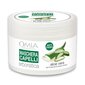 Mask Maschera Capelli Aloe Vera 250 ml цена и информация | Maskid, õlid, seerumid | kaup24.ee