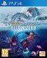PlayStation 4 mäng Subnautica: Below Zero hind ja info | Arvutimängud, konsoolimängud | kaup24.ee