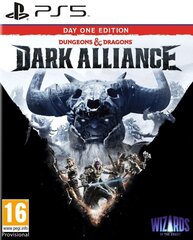PlayStation5 mäng Dungeons and Dragons: Dark Alliance (Day One Edition) hind ja info | Arvutimängud, konsoolimängud | kaup24.ee