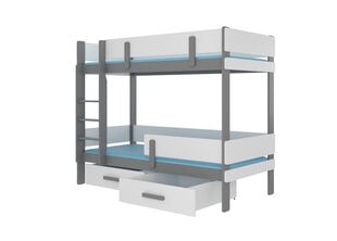 Кровать двухъярусная ADRK Furniture Etiona 90x200 см, серая цена и информация | Детские кровати | kaup24.ee