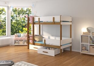 Кровать двухъярусная ADRK Furniture Etiona 90x200 см, коричневая/белая цена и информация | Детские кровати | kaup24.ee