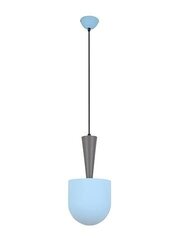 Ledea подвесной светильник Pendant Visby цена и информация | Потолочный светильник, 38 x 38 x 24 см | kaup24.ee