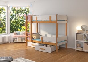 Двухъярусная кровать ADRK Furniture Etiona 80x180см, коричневая/серая цена и информация | Детские кровати | kaup24.ee