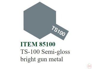 Аэрозольная краска Tamiya - TS-100 Semi-gloss bright gun metal, 100 мл цена и информация | Принадлежности для рисования, лепки | kaup24.ee
