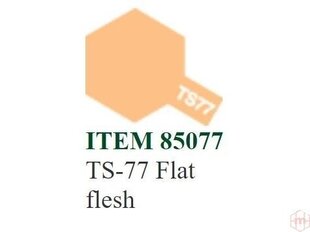 Распыляемая краска Tamiya TS-77 Flat flesh, 100 ml цена и информация | Принадлежности для рисования, лепки | kaup24.ee