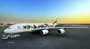 Revell - Airbus A380 Emirates "Wild-Life", 1/144, 03882 hind ja info | Klotsid ja konstruktorid | kaup24.ee