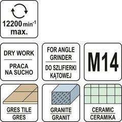 Teemant frees d-20mm Yato (YT-60444) hind ja info | Käsitööriistad | kaup24.ee