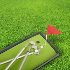 Pastapliiatsite komplekt Golf цена и информация | Другие оригинальные подарки | kaup24.ee