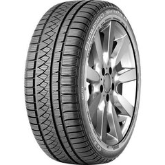 GT RADIAL Winterpro HP 225/55 17 101V цена и информация | Зимняя резина | kaup24.ee