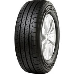 Falken Linam van01 225/55R17 109/107H цена и информация | Летняя резина | kaup24.ee