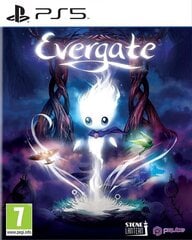 PlayStation 5 mäng Evergate цена и информация | Компьютерные игры | kaup24.ee