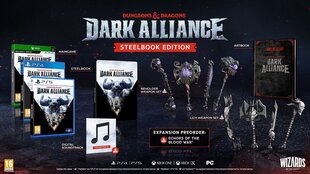 PlayStation 5 mäng Dungeons & Dragons: Dark Alliance Steelbook Edition hind ja info | Arvutimängud, konsoolimängud | kaup24.ee