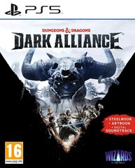 PlayStation 5 mäng Dungeons & Dragons: Dark Alliance Steelbook Edition hind ja info | Arvutimängud, konsoolimängud | kaup24.ee