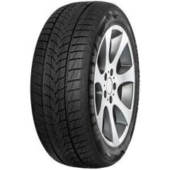 MINERVA Frostrack UHP 215/50R17 95V XL цена и информация | Зимние шины | kaup24.ee