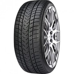 GRIPMAX Suregrip Pro Winter 245/35R19 93V XL цена и информация | Зимняя резина | kaup24.ee