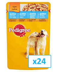 Консервы для щенков Pedigree Junior с курицей 24 x 100 г  цена и информация | Консервы для собак | kaup24.ee