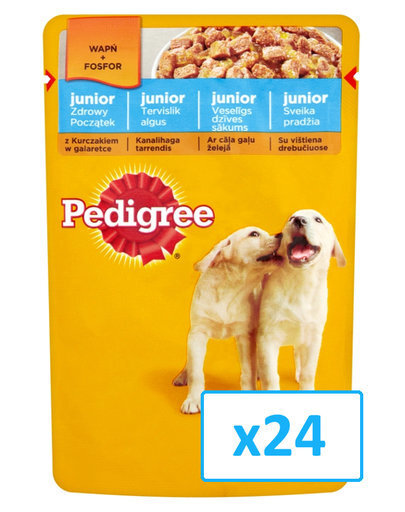 Konserv kutsikatele Pedigree Junior kanalihaga 24 x 100g hind ja info | Konservid koertele | kaup24.ee