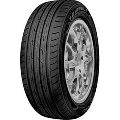 Triangle Protract te301 225/65R17 102H цена и информация | Зимняя резина | kaup24.ee