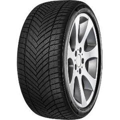 Minerva As master 225/45R17 94Y цена и информация | Всесезонная резина | kaup24.ee