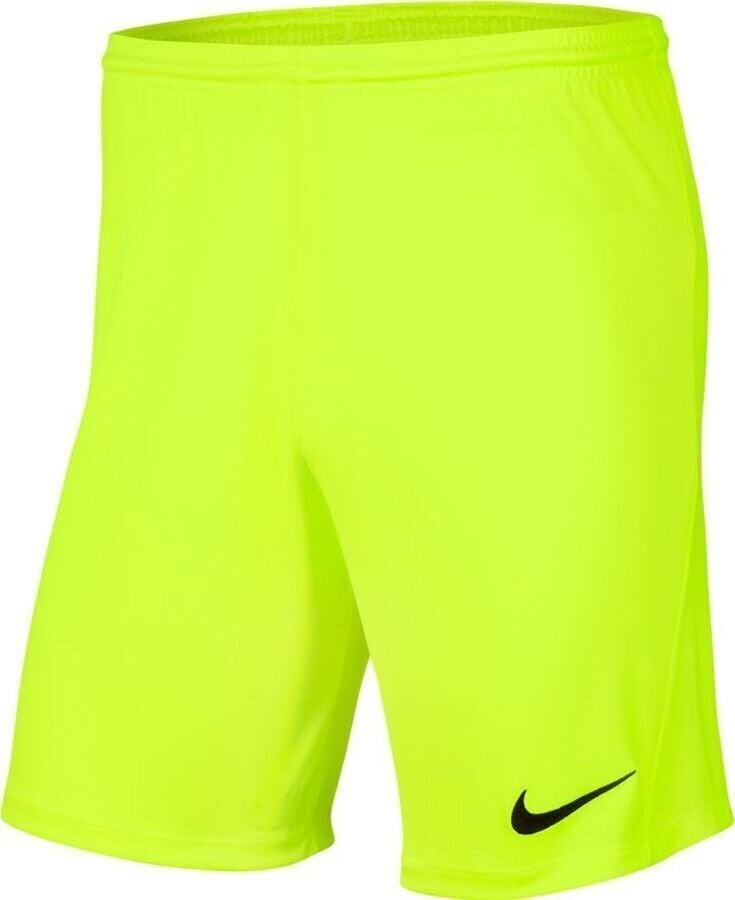 Meeste lühikesed püksid Nike BV6855 702, roheline цена и информация | Meeste lühikesed püksid | kaup24.ee