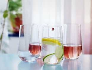 Iittala Essence universaalne klaas 55 cl, 2 tk цена и информация | Стаканы, фужеры, кувшины | kaup24.ee