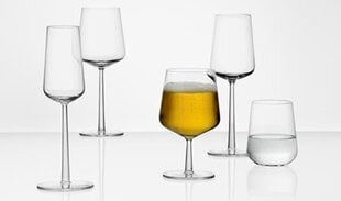 Iittala Essence õlleklaas 48cl 2tk цена и информация | Стаканы, фужеры, кувшины | kaup24.ee