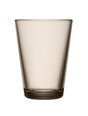 Iittala 2 klaasi komplekt Kartio, 400 ml