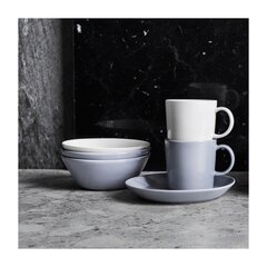 Iittala Teema kruus 0.4 L pärlihall hind ja info | Klaasid, tassid ja kannud | kaup24.ee