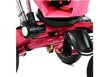 Kolmerattaline jalgratas katusega PRO700, roosa hind ja info | Kolmerattalised jalgrattad | kaup24.ee