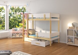 Кровать двухъярусная ADRK Furniture Etiona 90x200 см, светло-коричневая/белая цена и информация | Детские кровати | kaup24.ee