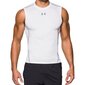 Under Armor HeatGear Compression Longsleeve termo t-särk 1257469-100, 43218 цена и информация | Meeste spordiriided | kaup24.ee