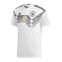 Meeste spordisärk Adidas DFB Home 2018 M BR7843 hind ja info | Meeste spordiriided | kaup24.ee