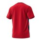 Meeste spordisärk Adidas Tango Tape TEE M FP7892, punane цена и информация | Meeste spordiriided | kaup24.ee