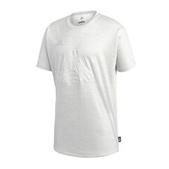 Meeste sportlik T-särk, Adidas Tango Terry M CG1827 valge/hall hind ja info | Meeste spordiriided | kaup24.ee