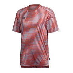 Meeste spordisärk adidas Tango Eng M CG1864, hall/bordoo цена и информация | Мужская спортивная одежда | kaup24.ee