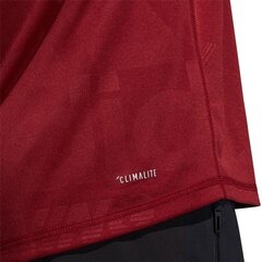 Спортивная футболка мужская Adidas Freelift Daily Press Tee M DZ7345, 56803 цена и информация | Мужская спортивная одежда | kaup24.ee