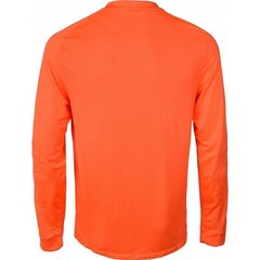 Nike толстовка мужская Park Goalie II LS M 588418-803, 43217, оранжевый цена и информация | Мужские толстовки | kaup24.ee