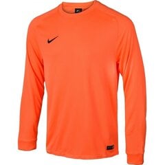 Nike толстовка мужская Park Goalie II LS M 588418-803, 43217, оранжевый цена и информация | Мужские толстовки | kaup24.ee