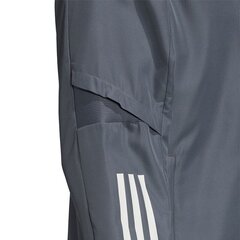 Meeste dressipluus Adidas DFB Presentation M FI0739 hind ja info | Meeste pusad | kaup24.ee