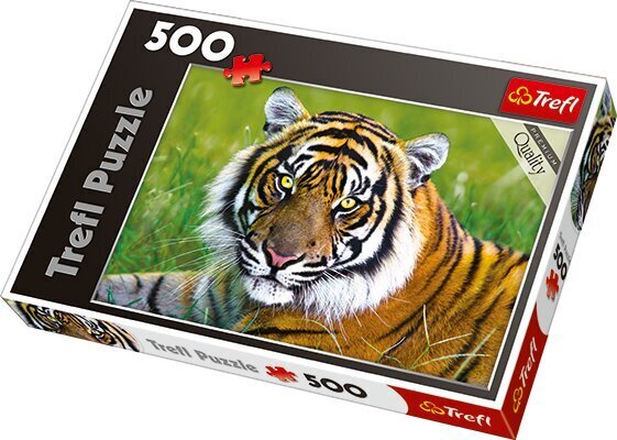 Puzzle Trefl Tiiger, 500 tükki hind ja info | Pusled | kaup24.ee